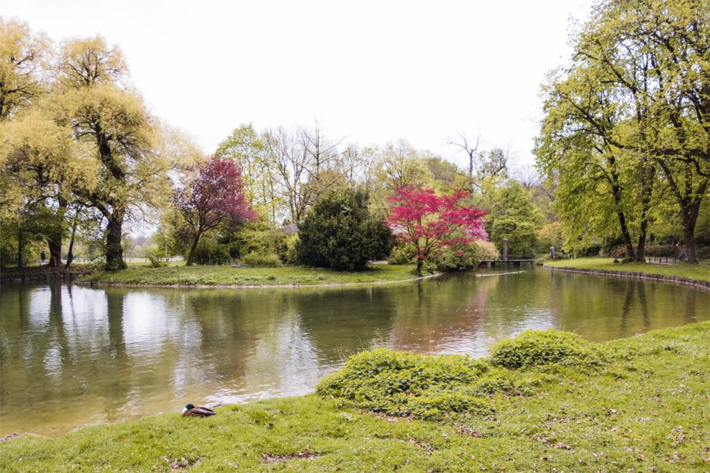 Lago Ornamental: Como Criar e Manter um Ecossistema Natural no Seu Jardim